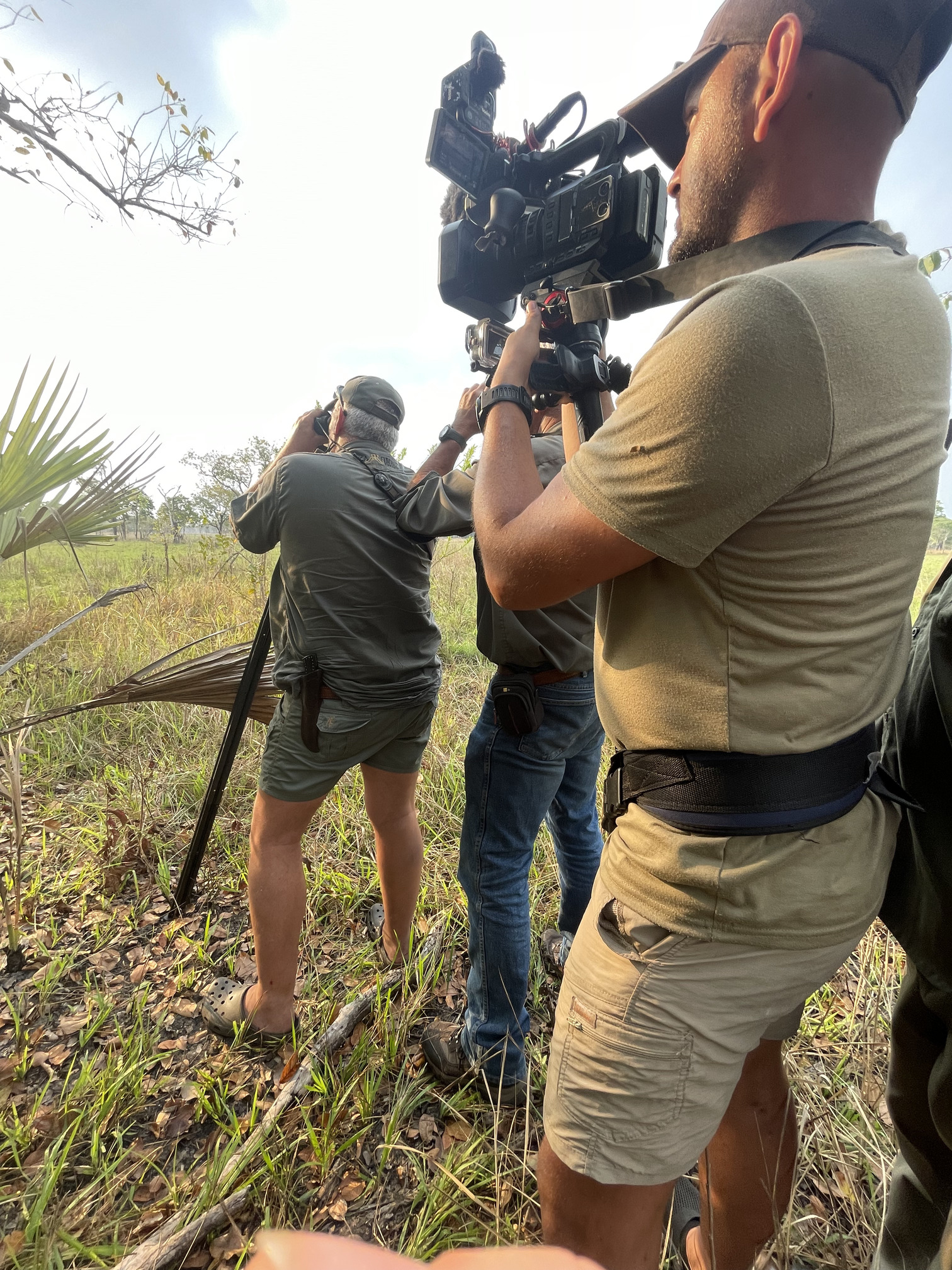 Safari cinematography 3