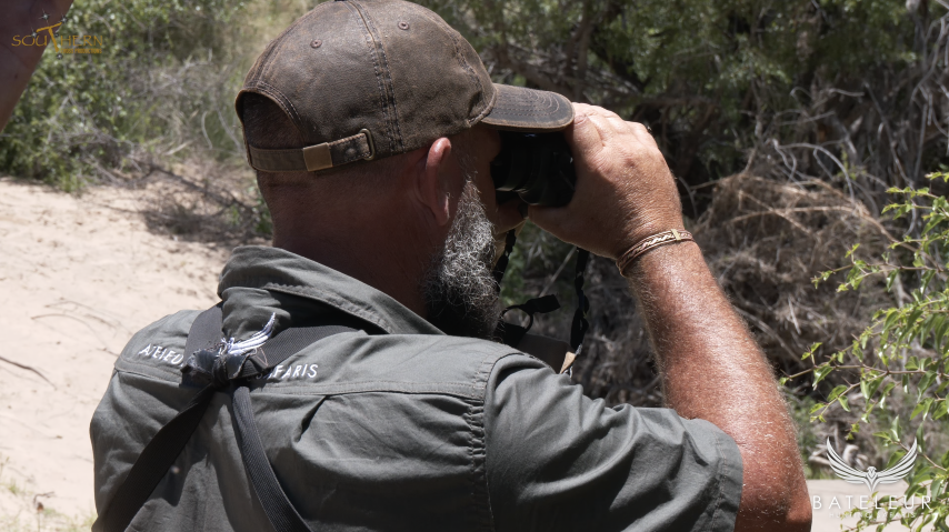Bateleur Hunting Safaris landscape